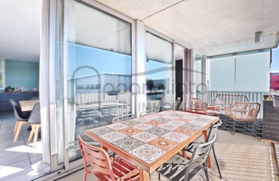 EXCLUSIVITÉ VENTE BLAGNAC Grand T4 de 97 m² + Terrasse 32 m² + 2 Parkings sous-sol