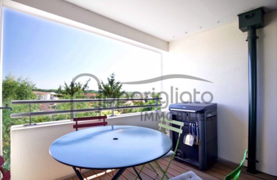 EXCLUSIVITÉ VENTE BLAGNAC Centre Agréable T4 avec Terrasse Grand Garage boxé &#038; Parking